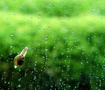 水泵安拆现场：水平仪上的毫米之争